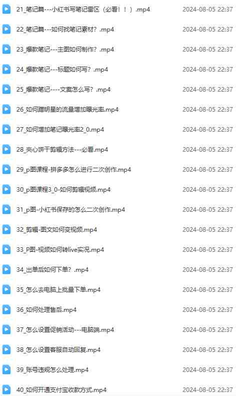 2024小红书电商实战课：全体系打造 全方位梳理 小红书电商逻辑体系 (42节)