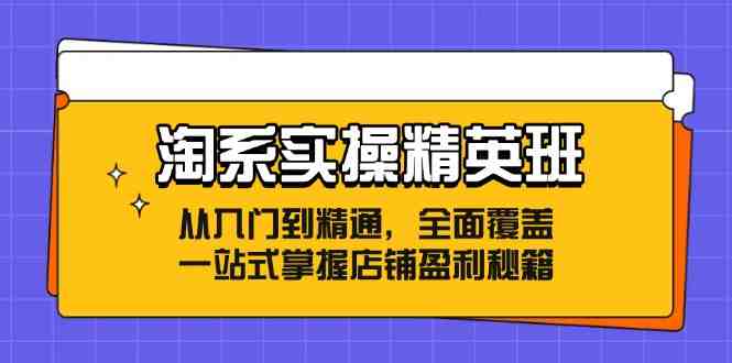淘系实操精英班:从入门到精通,全面覆盖,一站式掌握店铺盈利秘籍 淘系实操精英班:从入门到精通,全面覆盖,一站式掌握店铺盈利秘籍