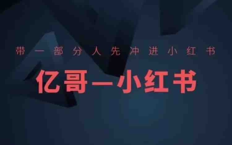 带一部分人先冲进小红书,小红书开店、选品、爆款裂变 带一部分人先冲进小红书,小红书开店、选品、爆款裂变