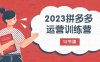 2023拼多多运营训练营：流量底层逻辑，免费+付费流量玩法（12节课）(全面解析拼多多运营策略从价格到流量的实战技巧)
