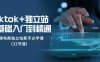 Tiktok+独立站精通课程新手必备的跨境电商运营指南”)