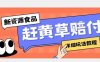 新资源食品赶黄草标签瑕疵打假赔付思路，光速下车，一单利润千+【详细玩法教程】【揭秘】(揭秘新资源食品赶黄草标签瑕疵打假赔付策略及食品安全法的应用)