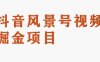 黄岛主副业拆解：抖音风景号视频变现副业项目，一条龙玩法分享给你(探索抖音风景号视频变现新途径一条龙玩法揭秘)