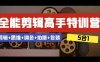 全能剪辑-高手特训营：剪辑+思维+调色+拍摄+包装（5合1）53节课(全能剪辑-高手特训营打造专业剪辑思维与技能)