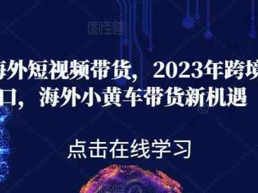 黑冰·海外短视频带货，2023年跨境新风口，海外小黄车带货新机遇(“黑冰·海外短视频带货课程全面解析2023年跨境电商新风口及小黄车带货新机遇”)