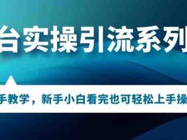 多平台引流实操系列课程，新手小白看完也可轻松上手进行引流操作(多平台引流实操系列课程，新手小白也能轻松上手)