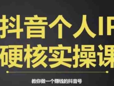 个人IP创富系统实战课，商业定位，流量打造，短视频变现，教你做个赚钱的抖音号(掌握抖音赚钱秘籍，打造个人IP实现财富增长)