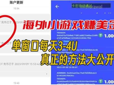 海外小游戏美金项目真正可以达到3-4U单窗口的方法，单台电脑收入300+【揭秘】