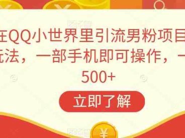在QQ小世界里引流男粉项目新玩法，一部手机即可操作，一天500+【揭秘】(揭秘超级冷门赛道在QQ引流男粉变现卖写真)