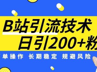 B站引流技术：每天引流200精准粉，简单操作，长期稳定，规避风险(掌握B站引流技术，轻松获取精准粉丝)