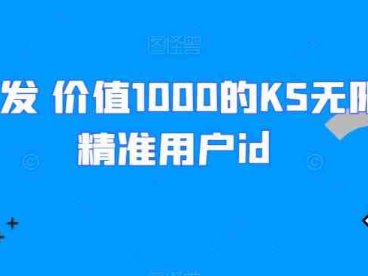 全网首发 价值1000的KS无限采集精准用户id(利用KS无限采集精准用户id，提升工作效率)
