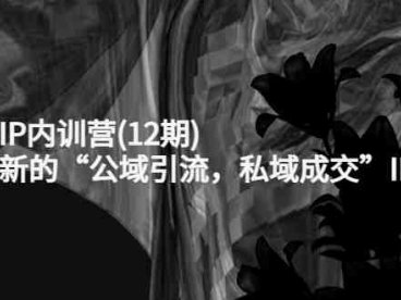 新媒体IP内训营(12期),一套全新的“公域引流,私域成交”IP打法,直接带走(全新IP打法助您实现公域引流与私域成交)