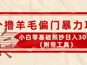 外面卖998的三个撸羊毛偏门暴力项目,小白零基础照抄日入300+(附带工具)(三个偏门撸金项目,轻松日入300+)