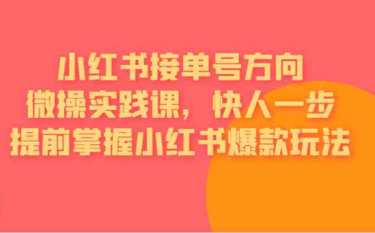 [小红书]小红书接单号方向微操实践课，快人一步提前掌握小红书爆款玩法(小红书接单号方向微操实践课全面解析小红书爆款玩法)