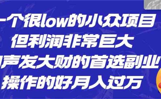 [抖音快手]一个很low的小众项目，但利润非常巨大，闷声发大财的首选副业，操作的好月入过万(“抖音快手上的低门槛高收益项目月入过万不是梦”)