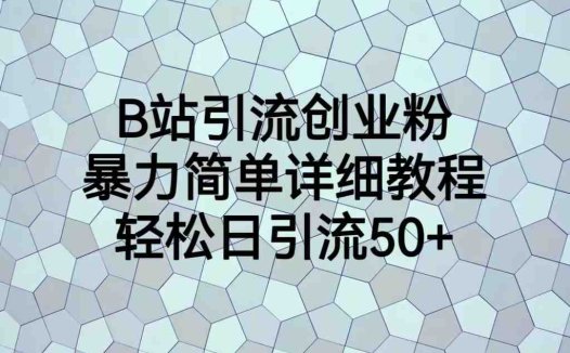 B站引流创业粉,暴力简单详细教程,轻松日引流50+(“B站引流创业粉从项目介绍到实操总结的全面指南”)