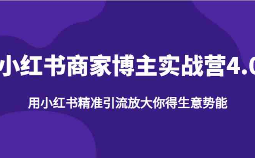 小红书商家博主实战营4.0,用小红书精准引流放大你得生意势能(小红书商家博主实战营4.0掌握精准引流,释放生意潜能)