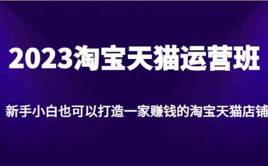 2023淘宝天猫运营班，新手小白也可以打造一家赚钱的淘宝天猫店铺(全面解析淘宝天猫运营技巧，助力新手小白打造赚钱店铺)