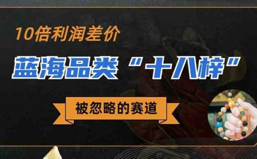 被忽略的蓝海品类“十八籽”,10倍的利润差价,同行一天几十单(探索被忽视的蓝海市场十八籽手串的销售策略与利润分析)