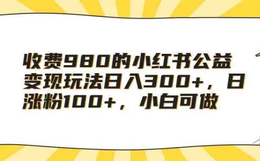 收费980的小红书公益变现玩法日入300+,日涨粉100+,小白可做(小红书公益绘本引流变现小白也能轻松赚钱的方法)