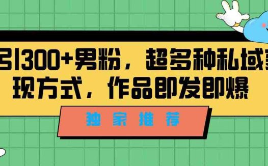 独家推荐!日引300+精准男性粉丝,分类风格视频新玩法2.0!变现超级快(全新视频引流方法利用剪辑软件剪映功能,精准吸引男性粉丝)