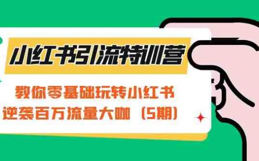 小红书引流特训营-第5期:教你零基础玩转小红书,逆袭百万流量大咖(小红书引流特训营第5期全方位解析小红书运营秘籍,助你轻松成为流量大咖)