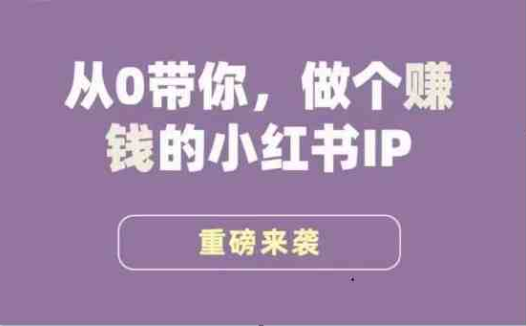 小红书运营大宝典从0到1，打造赚钱IP”)