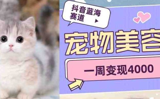 抖音蓝海赛道，宠物美容，一周变现4000(探索抖音蓝海赛道宠物美容领域的快速涨粉与变现策略)