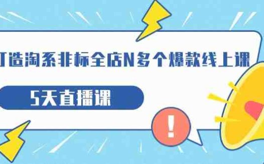 (淘系非标全店爆款打造5天直播课详解产品企划与市场策略)
