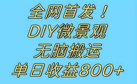 全网首发冷门赛道!DIY微景观,无脑搬运视频,日收益800+(探索冷门赛道DIY微景观项目助力零成本高收益)