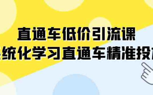 直通车-低价引流课,系统化学习直通车精准投放(14节课)(“全面解析直通车精准投放14节系统化课程助您提升推广效果”)