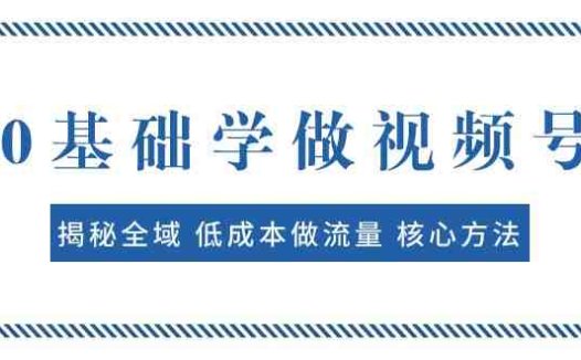 0基础学做视频号:揭秘全域 低成本做流量 核心方法 快速出爆款 轻松变现(全面解析视频号制作与运营策略,助你快速打造爆款作品并实现变现。)