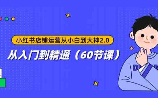 小红书店铺运营从小白到大神2.0，从入门到精通（60节课）(全面解析小红书店铺运营策略与技巧)
