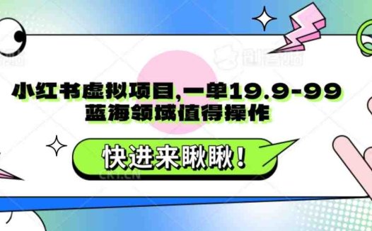 小红书虚拟项目,一单19.9-99,蓝海领域值得操作(小红书虚拟项目操作指南从定价到引流的全方位解析)