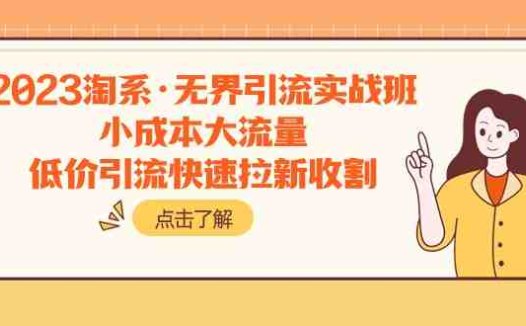 2023淘系·无界引流实战班:小成本大流量,低价引流快速拉新收割(探索小成本大流量之道,提升电商经营实力)