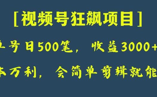 日收款500笔,纯利润3000+,视频号狂飙项目!(视频号狂飙项目手把手教你制作表情包,实现自动收益)