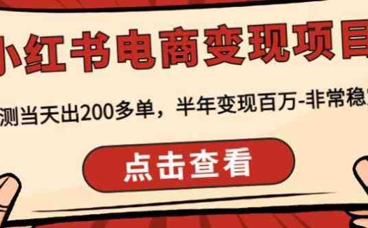 顽石·小红‬书电商变现项目，实测当天出200多单，半年变现百万，非常稳定(“顽石·小红书电商变现项目实测验证的稳定盈利模式详解”)