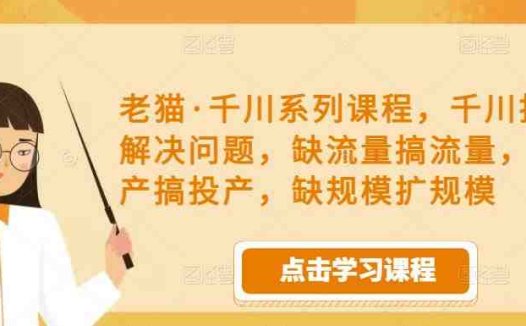 老猫·千川系列课程，千川投放解决问题，缺流量搞流量，缺投产搞投产，缺规模扩规模(全面解决投放难题，老猫·千川系列课程助你轻松提升效果)