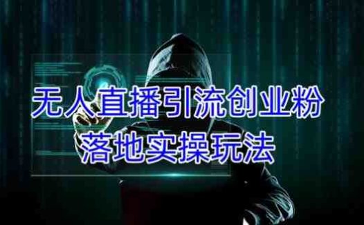 外面收费3980的无人直播引流创业粉落地实操玩法，单日引100+精准创业粉(掌握无人直播引流创业粉技巧，助您轻松吸引精准粉丝)