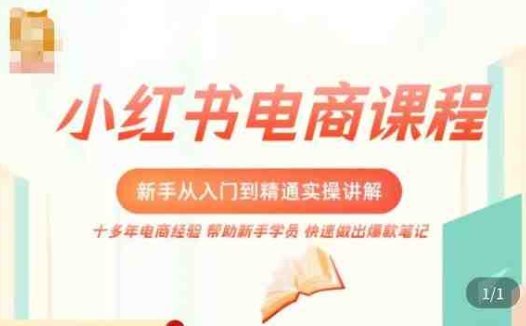 小红书电商新手入门到精通实操课，从入门到精通做爆款笔记，开店运营(全面掌握小红书电商运营技巧，打造爆款笔记与高粉丝账号)