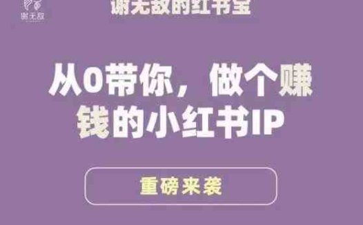 谢无敌·小红书运营大宝典，从0带你做个赚钱的小红书IP(“深度解析小红书运营从零基础到赚钱IP的转变之路”)