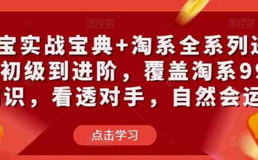 淘宝实战宝典+淘系全系列进阶，初级到进阶，覆盖淘系99%的知识，看透对手，自然会运营(淘宝运营全攻略从初级到进阶，掌握淘系99%的知识)