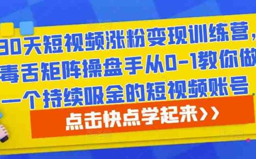 30天短视频涨粉变现训练营，毒舌矩阵操盘手从0-1教你做一个持续吸金的短视频账号(30天短视频涨粉变现训练营从零到一打造持续吸金短视频账号)