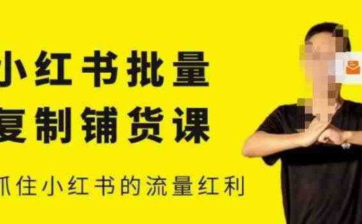 张宾·小红书批量复制铺货课，小红书0-1快速起号变现玩法，抓住小红书的流量红利（更新2023年3月）