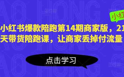 小红书爆款陪跑第14期商家版，21天带货陪跑课，让商家丢掉付流量(小红书爆款陪跑第14期商家版21天全方位带货培训，助力商家提升销售业绩)