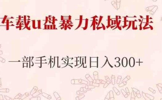 车载u盘暴力私域玩法，长期项目，仅需一部手机实现日入300+(“轻松赚钱车载U盘私域暴力玩法详解”)