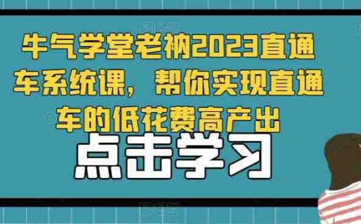 牛气学堂老衲2023直通车系统课，帮你实现直通车的低花费高产出(牛气学堂老衲2023直通车系统课助您实现低花费高产出的直通车运营策略)
