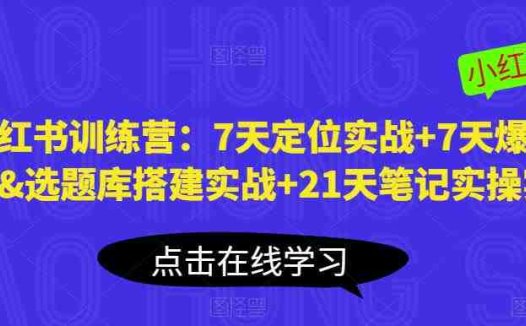 小红书训练营：7天定位实战+7天爆款拆解&选题库搭建实战+21天笔记实操实战(小红书训练营全面掌握小红书运营技巧，实现个人品牌价值提升)