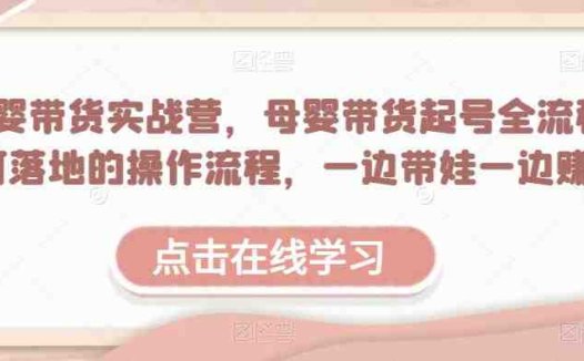 母婴带货实战营,母婴带货起号全流程,可落地的操作流程,一边带娃一边赚钱(附素材)(“全面掌握母婴带货技巧,一边带娃一边赚钱”)