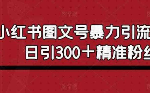 小红书图文号暴力引流4.0，日引300＋精准粉丝【揭秘】(小红书图文号暴力引流4.0简单操作，日引300+精准粉丝)